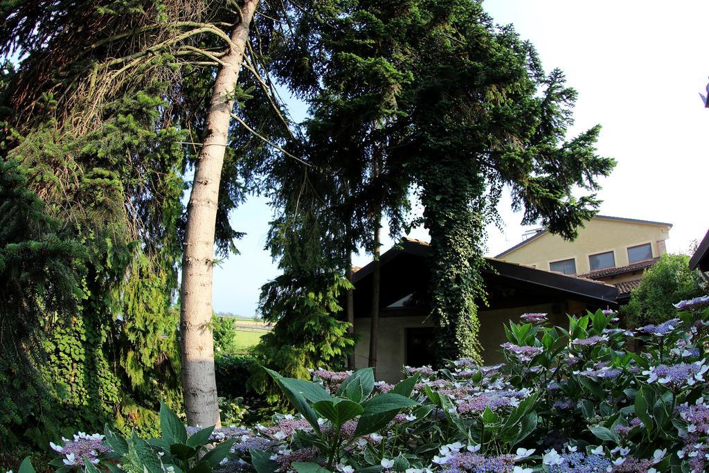 Villa Le Soleil Vigone Exterior foto
